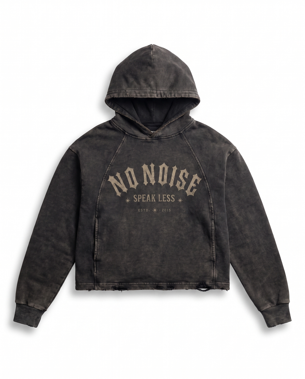 NO NOISE™ SPEAK LESS VINTAGE WASHED HOODIE — ESTD. 2026 — Back